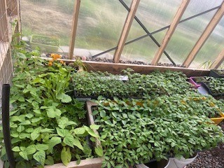 113 10th Street, Belgrade MT 59714