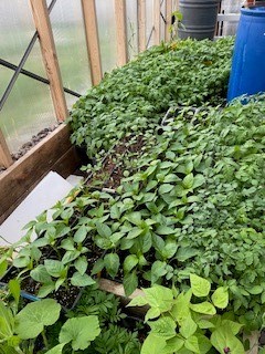 113 10th Street, Belgrade MT 59714