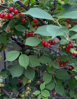 113 10th Street, Belgrade MT 59714