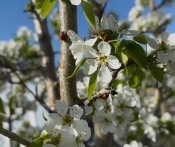 113 10th Street, Belgrade MT 59714