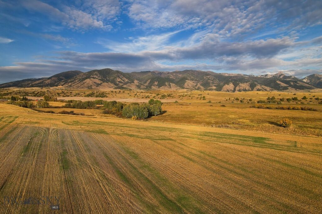 TBD Pheasant Ridge Lane, Belgrade MT 59714