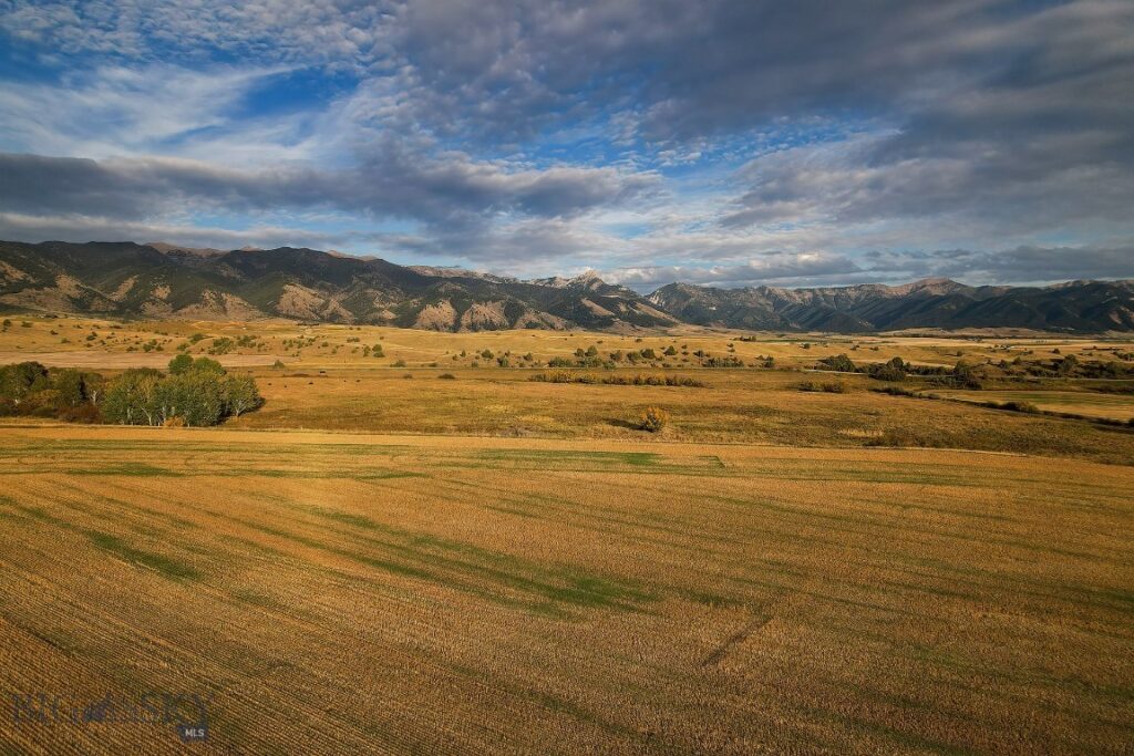 TBD Pheasant Ridge Lane, Belgrade MT 59714