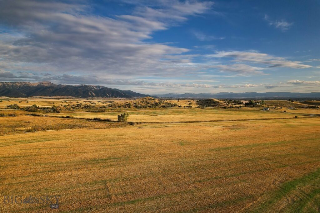 TBD Pheasant Ridge Lane, Belgrade MT 59714