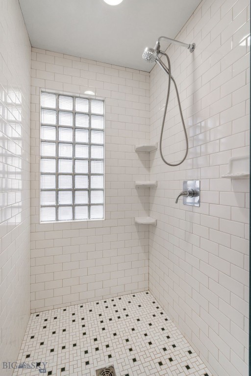 810 S Willson Avenue, Bozeman MT 59715