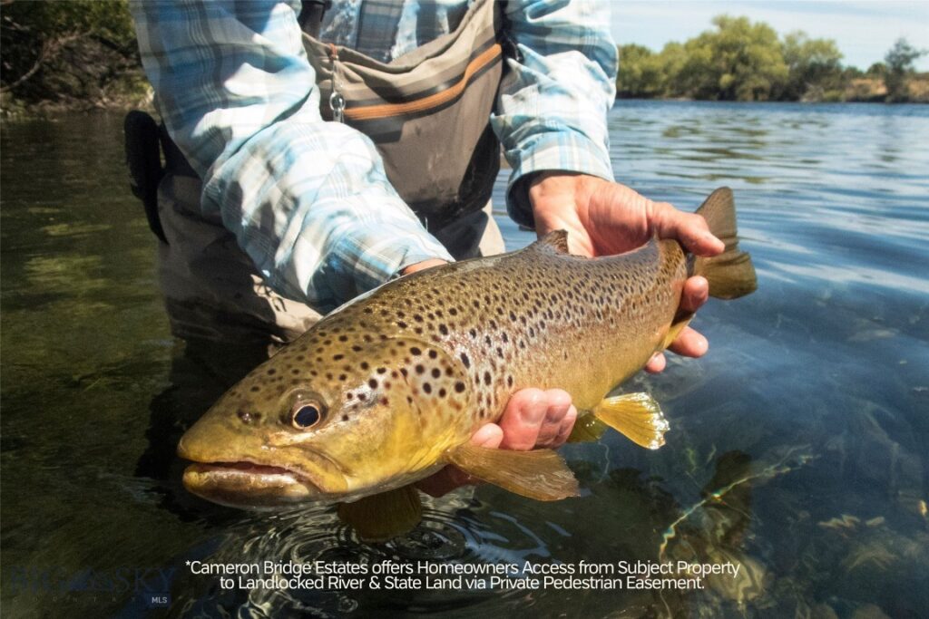 Lot 4 Rocking Horse Drive, Bozeman MT 59718