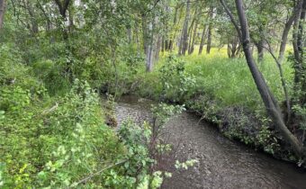 TBD Spring Creek Drive, Bozeman MT 59715