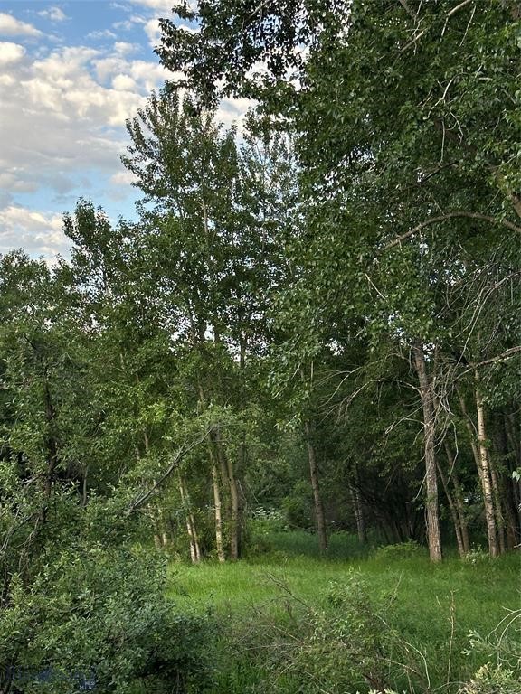 1918 & TBD Spring Creek Drive, Bozeman MT 59715