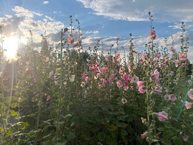 88 Riverway Road, Belgrade MT 59714