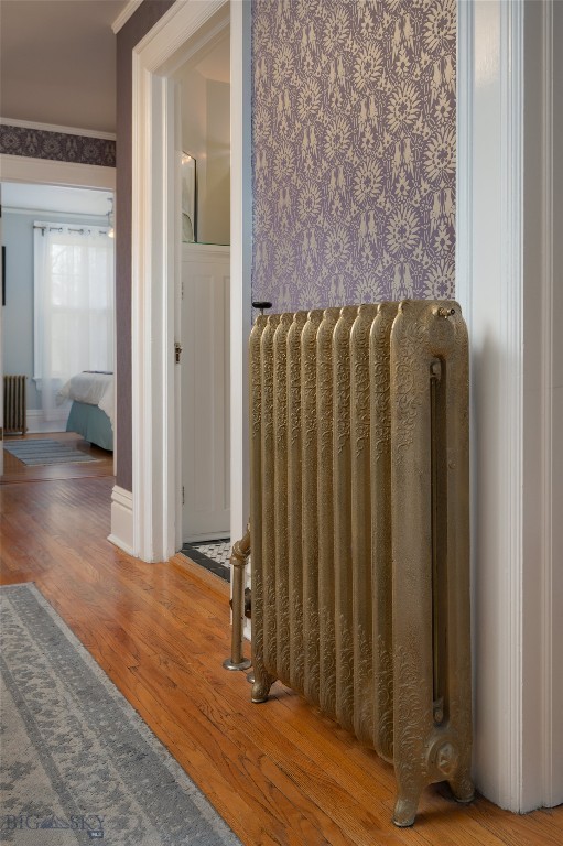 509 S Tracy Avenue, Bozeman MT 59715