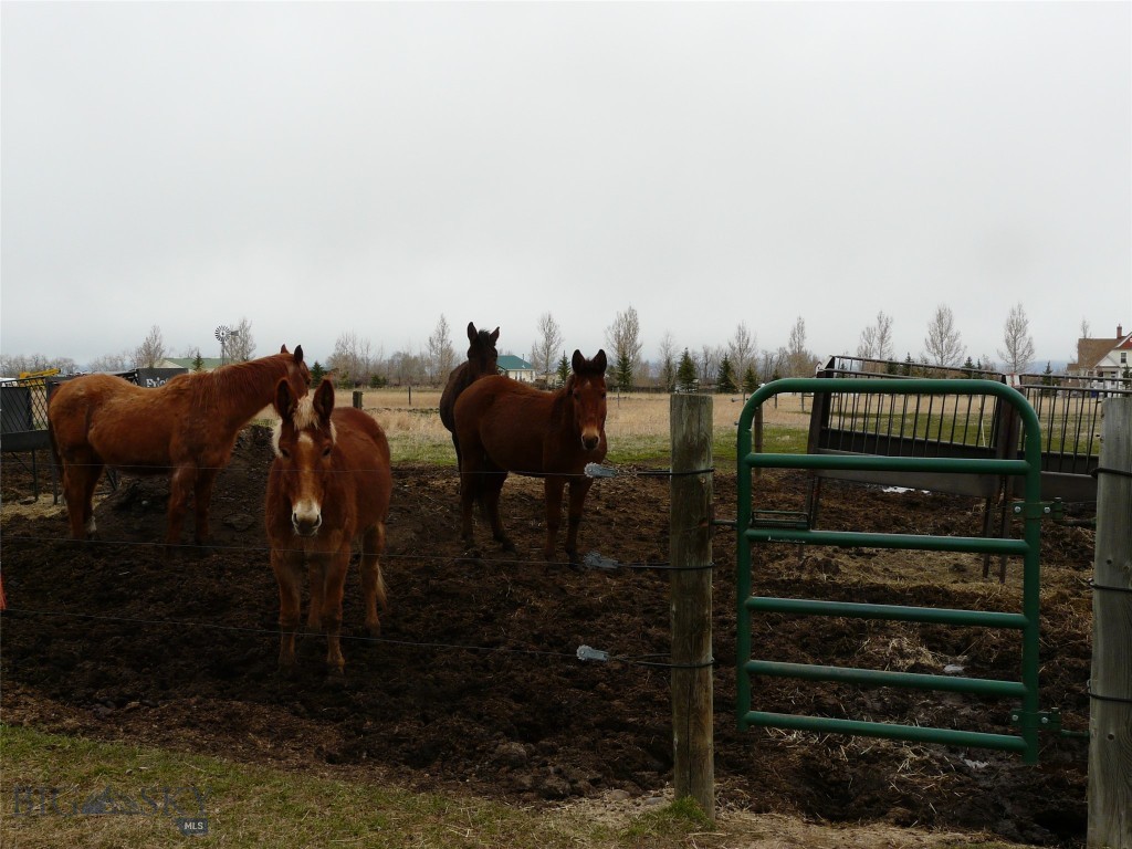 7543 Fowler Lane, Bozeman MT 59718