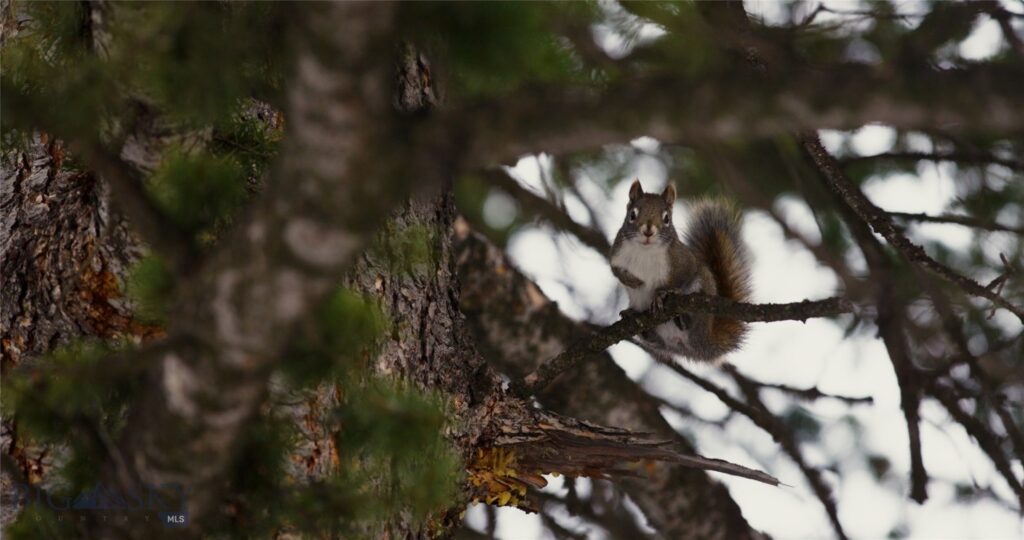 405 Resolute Ridge, Bozeman MT 59715