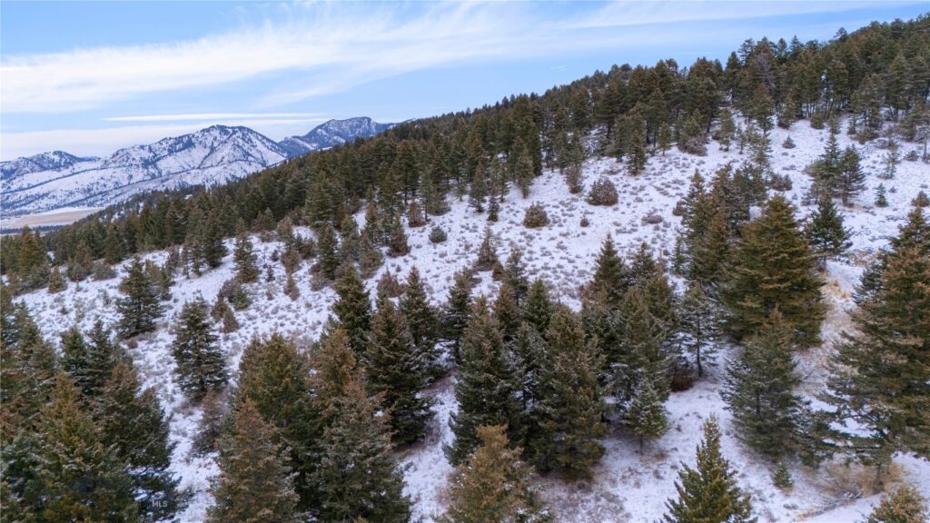405 Resolute Ridge, Bozeman MT 59715