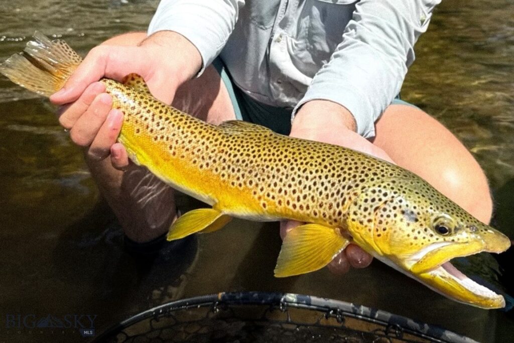 69 Upper Rainbow, Bozeman MT 59718