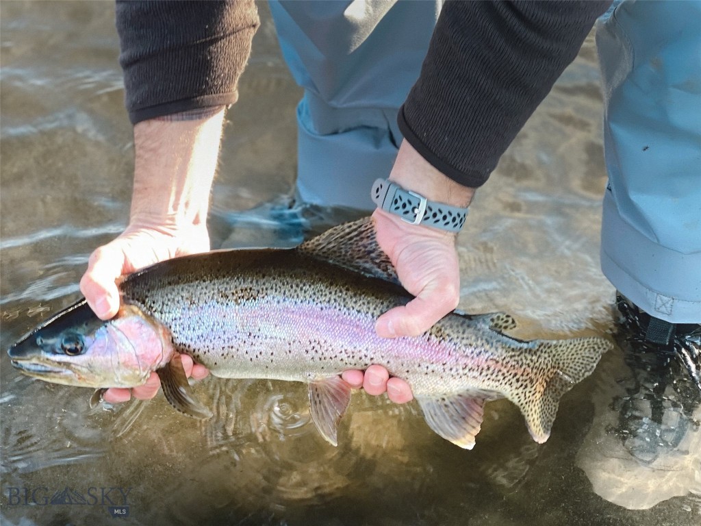 69 Upper Rainbow, Bozeman MT 59718