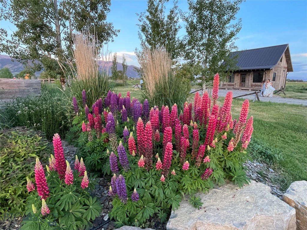 4186 Stimson Lane, Belgrade MT 59714