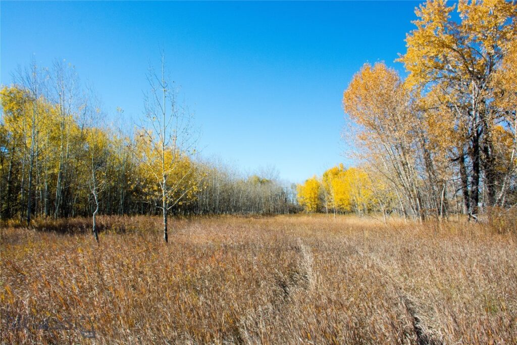 TBD L Street & Story Mill Road, Bozeman MT 59715