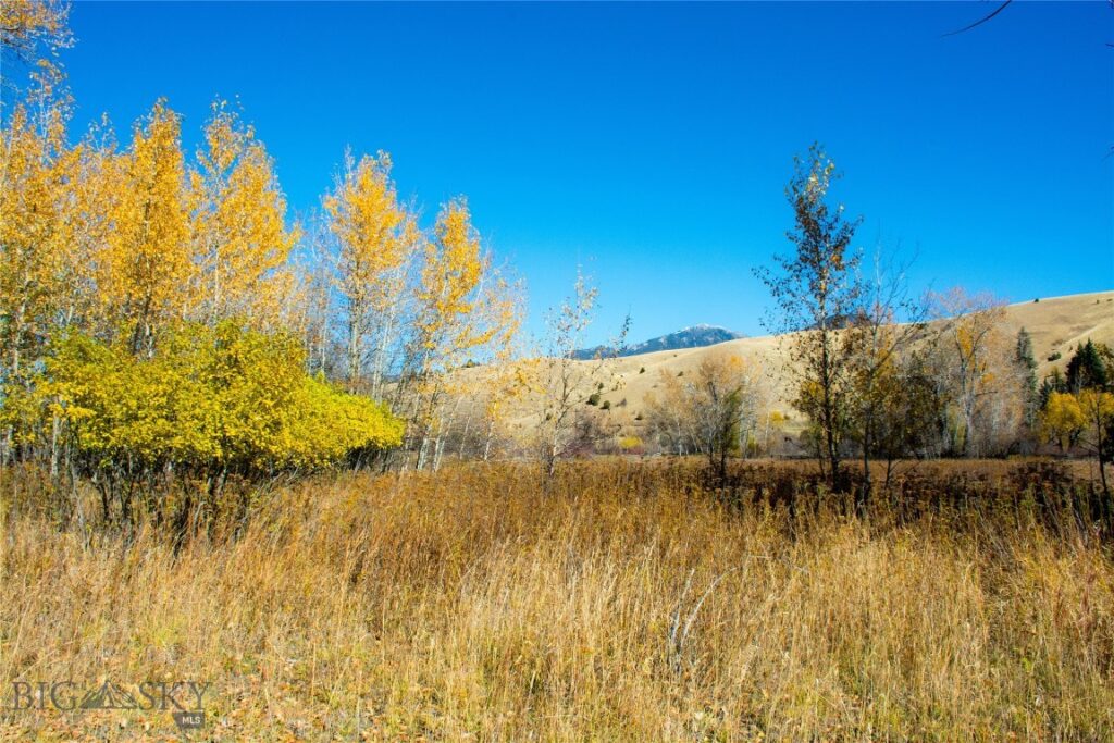 TBD L Street & Story Mill Road, Bozeman MT 59715