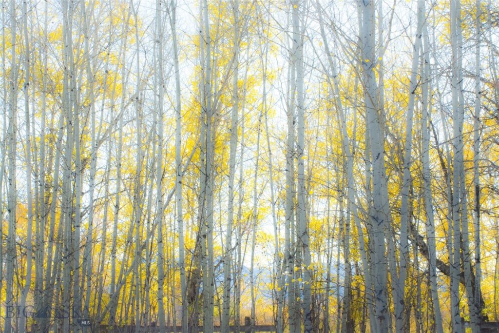 TBD L Street & Story Mill Road, Bozeman MT 59715