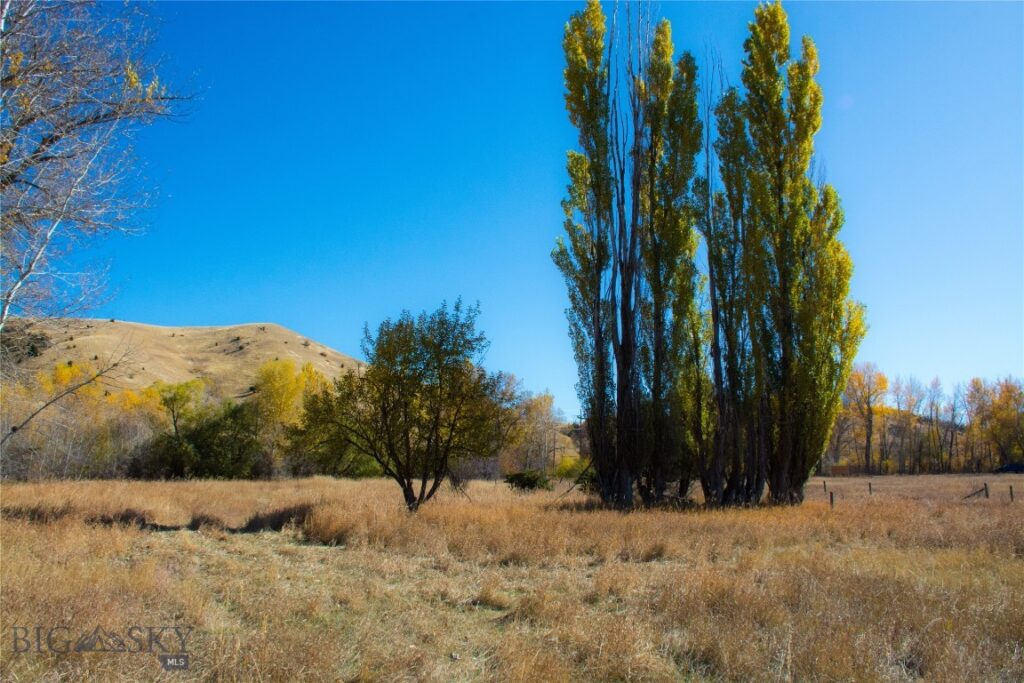 TBD L Street & Story Mill Road, Bozeman MT 59715