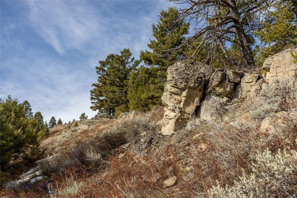 TBD Sunflower Lane LOT 4 Lane, Bozeman MT 59718