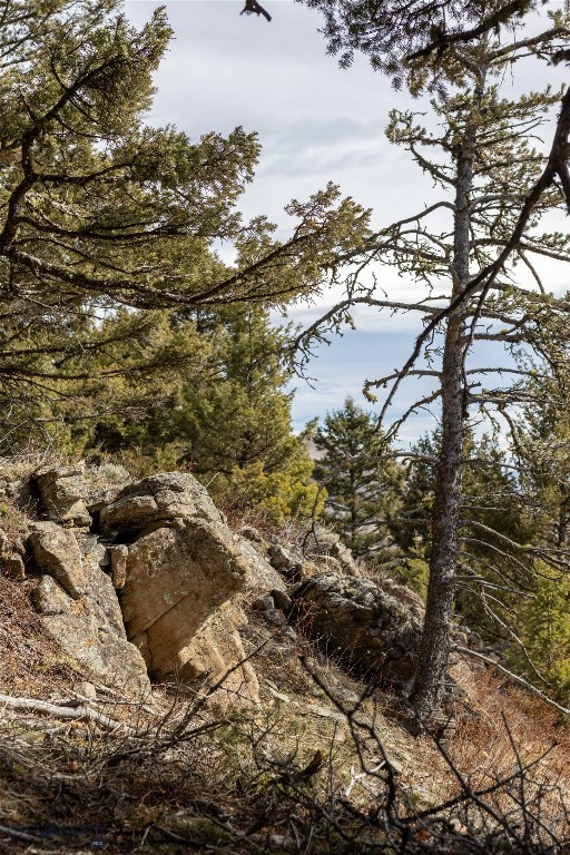 TBD Sunflower Lane LOT 4 Lane, Bozeman MT 59718