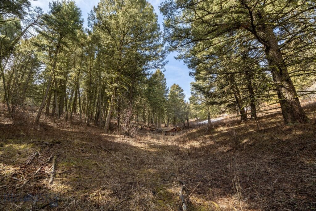 TBD Sunflower Lane LOT 4 Lane, Bozeman MT 59718