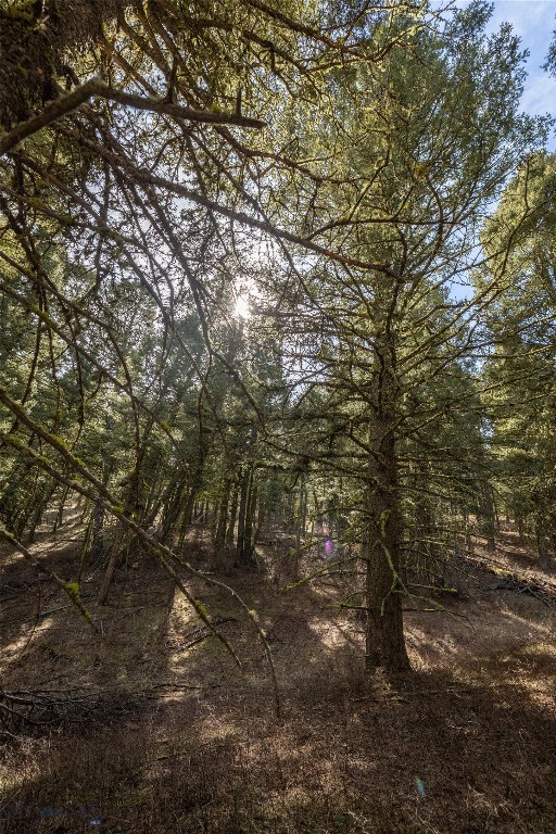 TBD Sunflower Lane LOT 4 Lane, Bozeman MT 59718