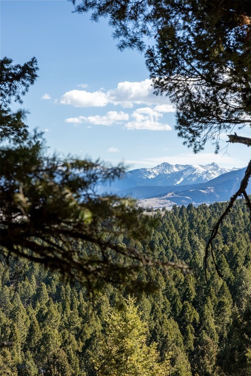 TBD Sunflower Lane LOT 4 Lane, Bozeman MT 59718