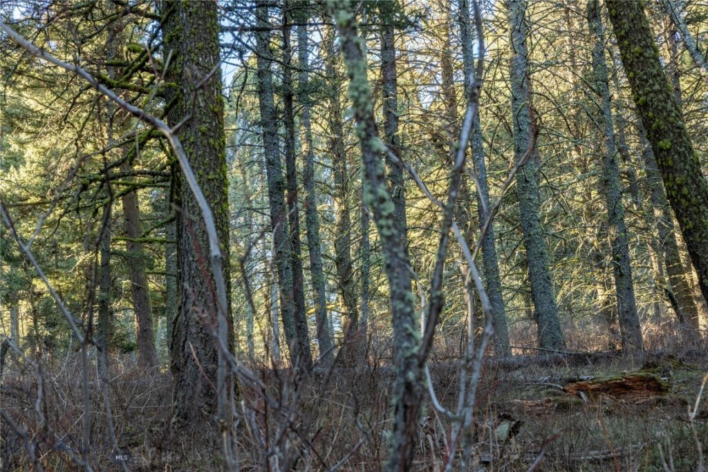 TBD Sunflower Lane LOT 4 Lane, Bozeman MT 59718