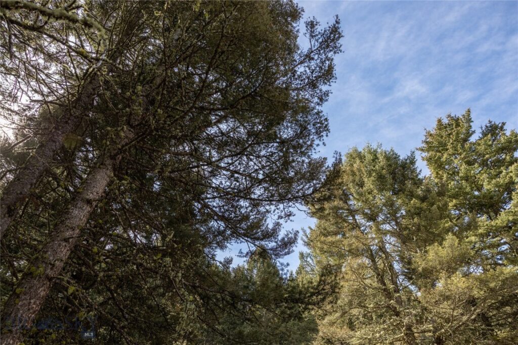 TBD Sunflower Lane LOT 4 Lane, Bozeman MT 59718