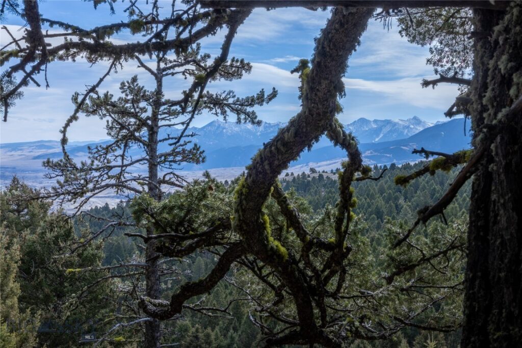 TBD Sunflower Lane LOT 4 Lane, Bozeman MT 59718