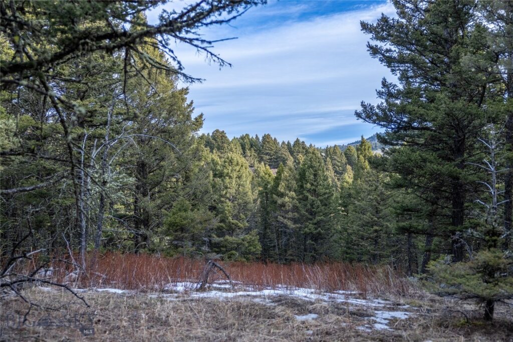 TBD Sunflower Lane LOT 4 Lane, Bozeman MT 59718