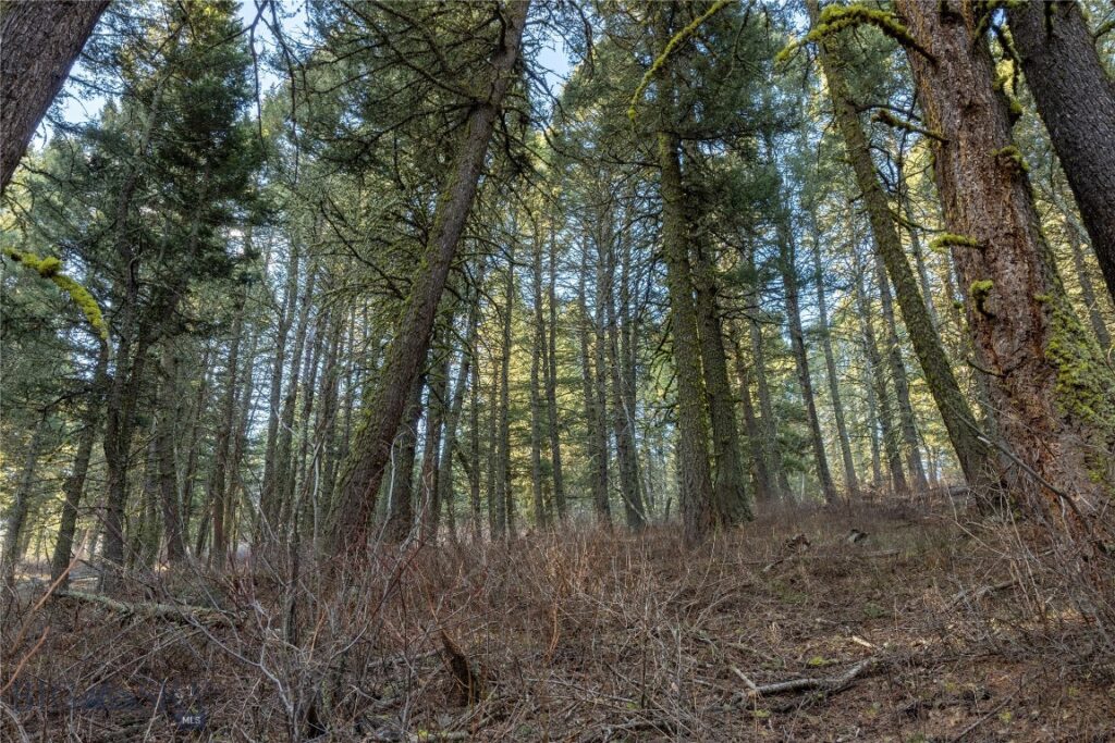 TBD Sunflower Lane LOT 4 Lane, Bozeman MT 59718