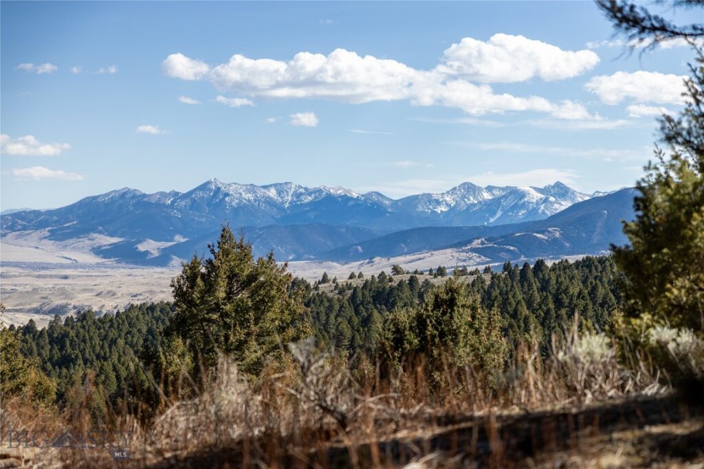 TBD Sunflower Lane LOT 4 Lane, Bozeman MT 59718