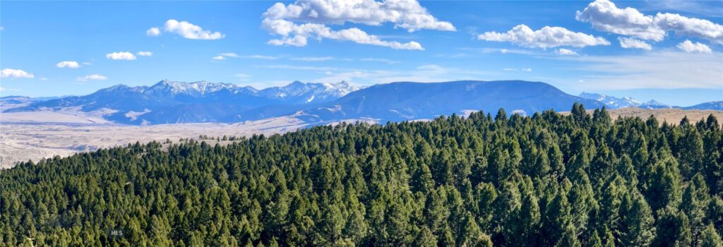 TBD Sunflower Lane LOT 4 Lane, Bozeman MT 59718