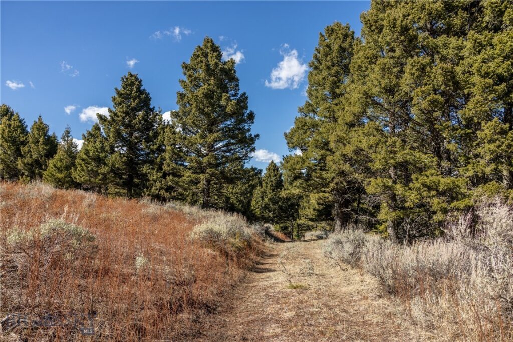TBD Sunflower Lane LOT 4 Lane, Bozeman MT 59718