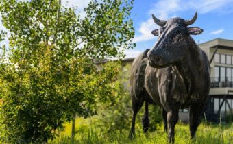 TBD Tillyfour, Bozeman MT 59718