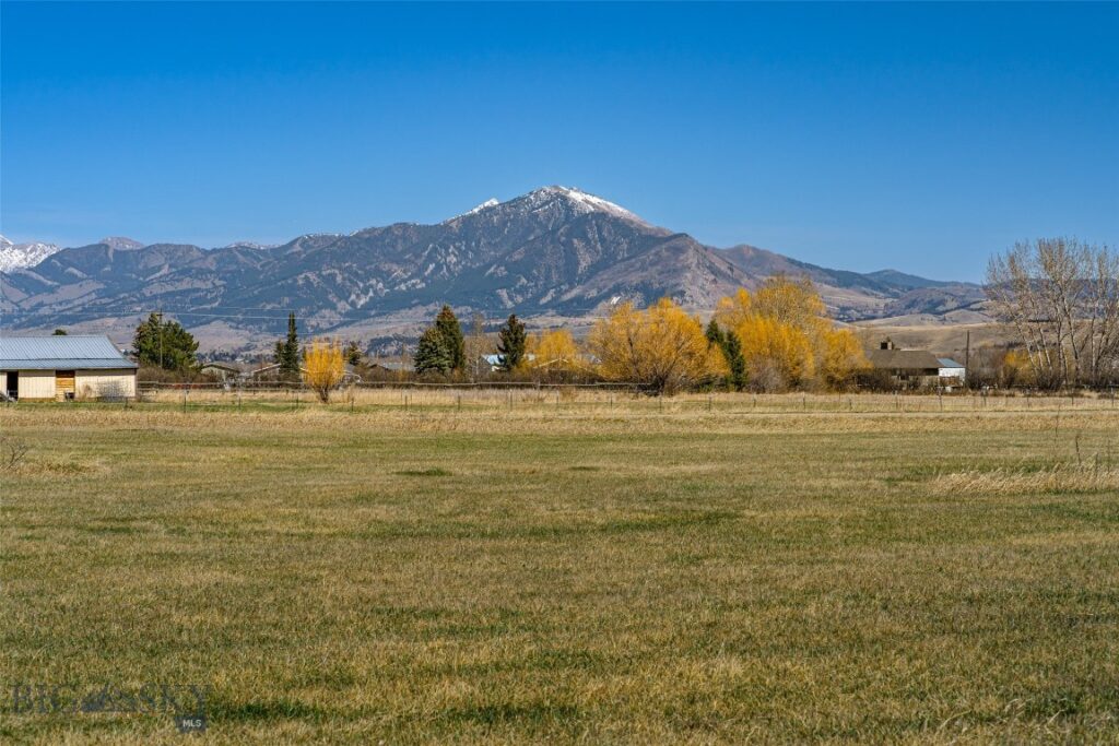 TBD Golden Buffalo Road, Bozeman MT 59715
