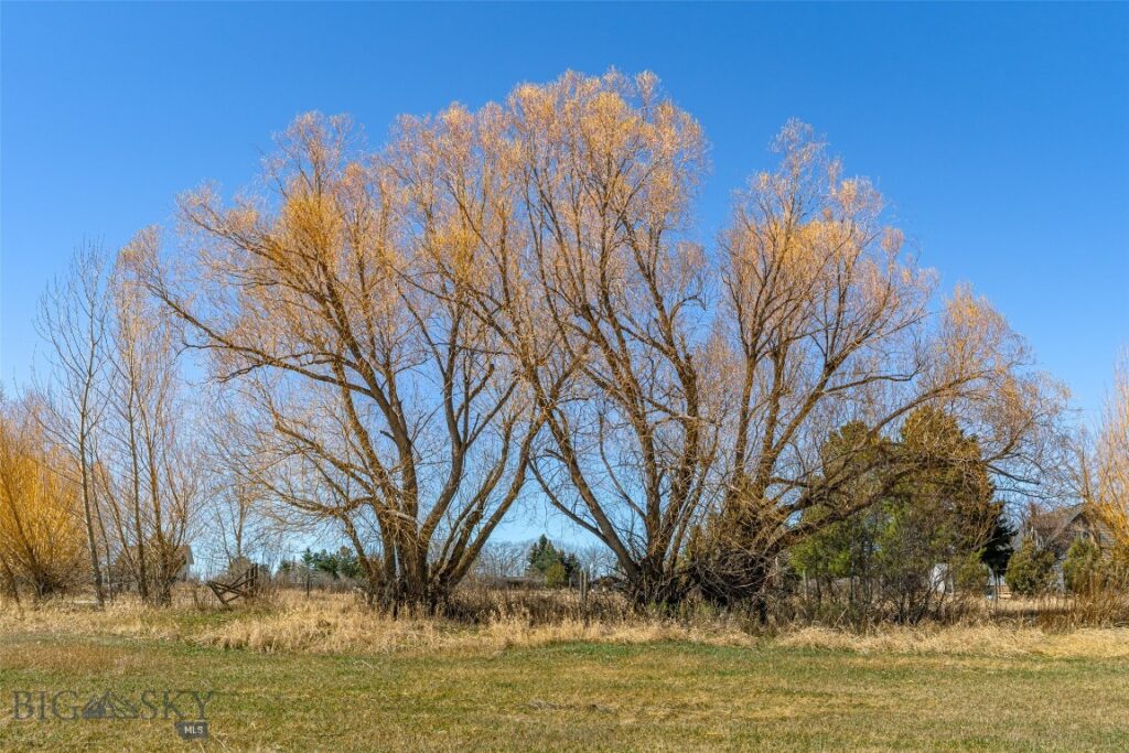 TBD Golden Buffalo Road, Bozeman MT 59715
