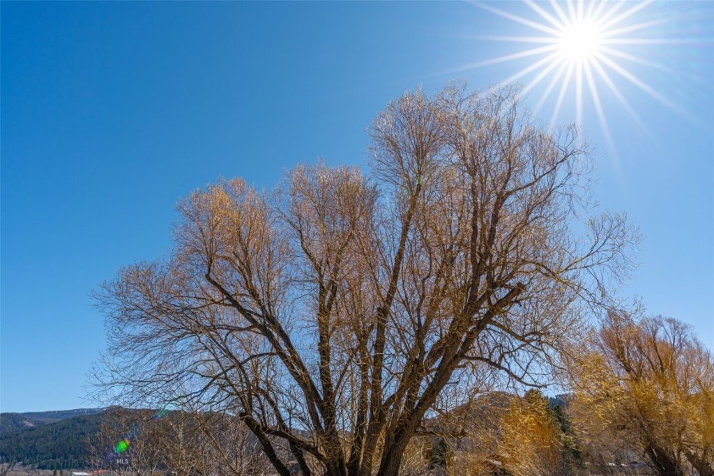 TBD Golden Buffalo Road, Bozeman MT 59715