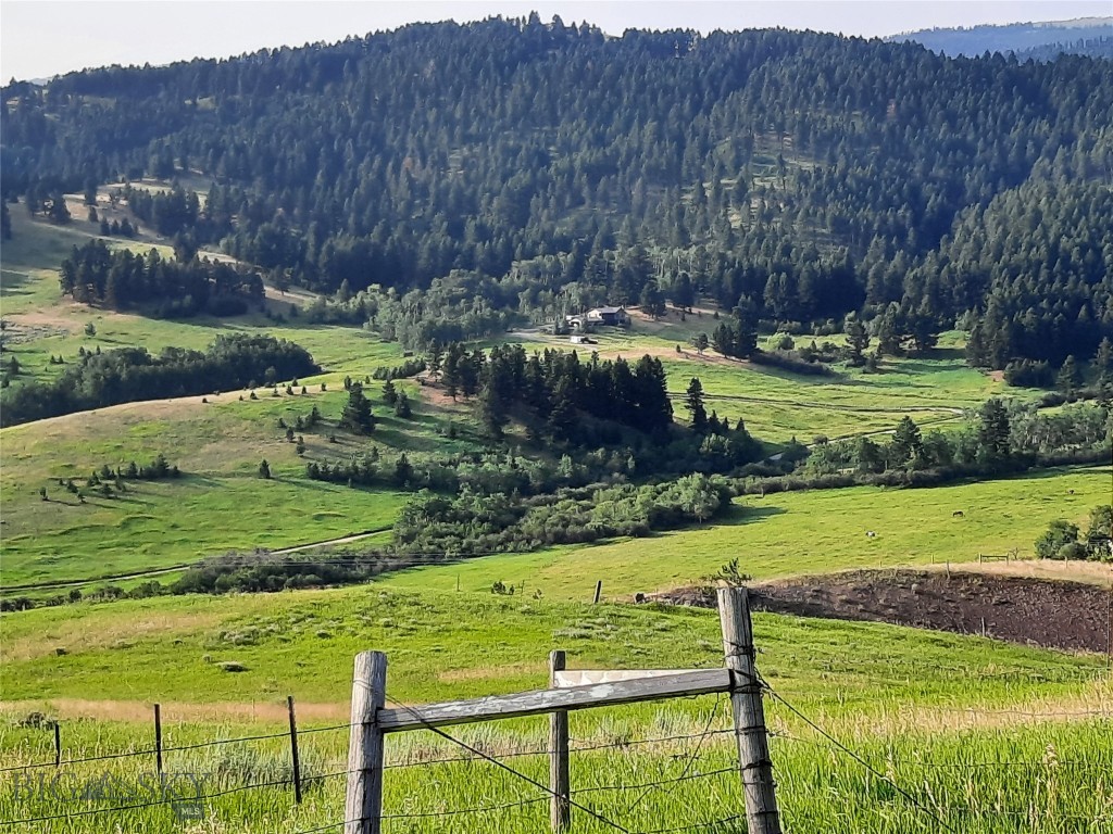 tbd Lupine Lane, Livingston MT 59047