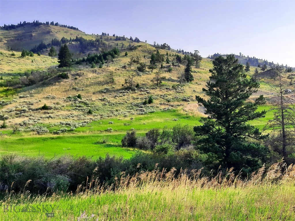 tbd Lupine Lane, Livingston MT 59047