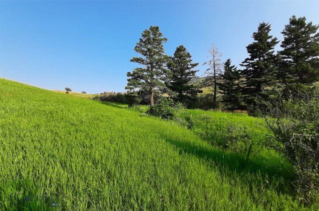 tbd Lupine Lane, Livingston MT 59047