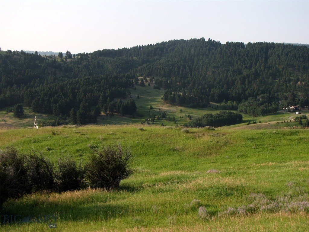 tbd Lupine Lane, Livingston MT 59047