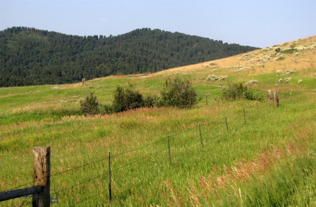 tbd Lupine Lane, Livingston MT 59047