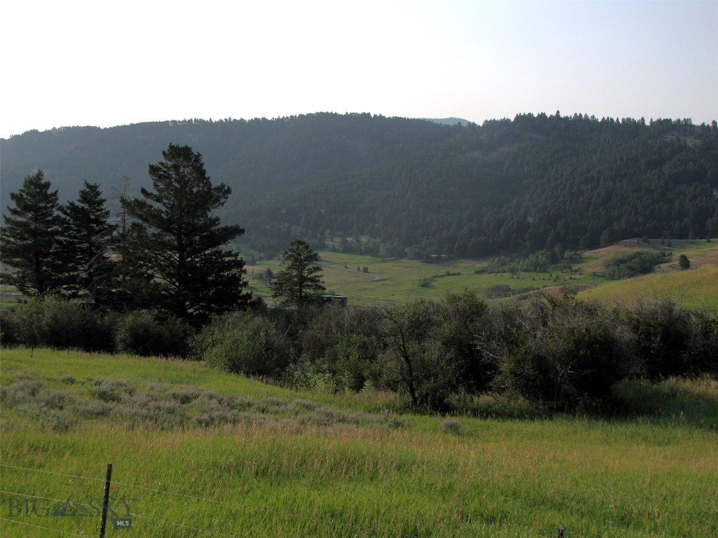 tbd Lupine Lane, Livingston MT 59047