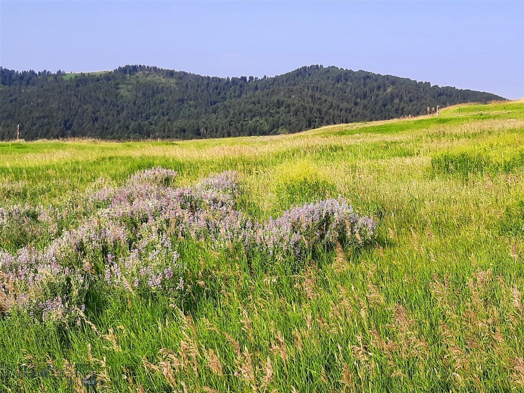 tbd Lupine Lane, Livingston MT 59047