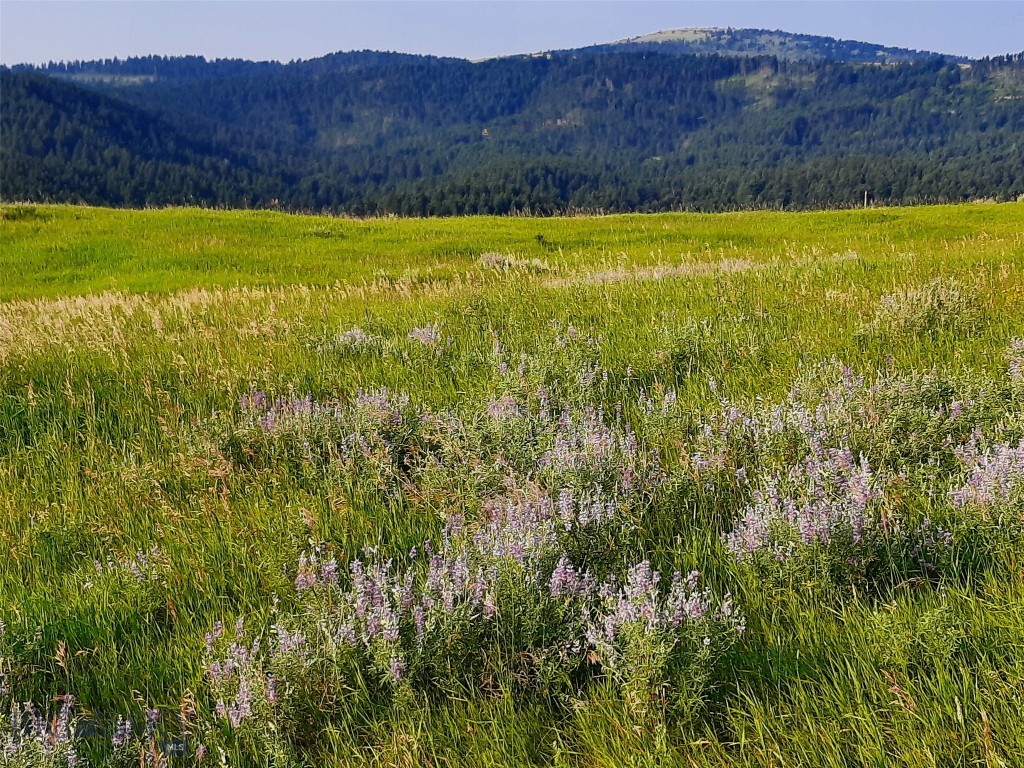 tbd Lupine Lane, Livingston MT 59047