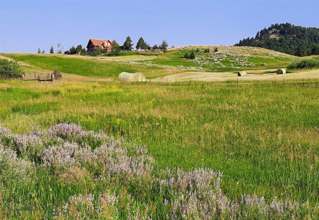 tbd Lupine Lane, Livingston MT 59047