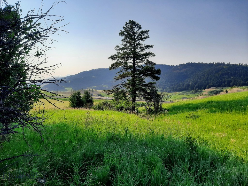 tbd Lupine Lane, Livingston MT 59047